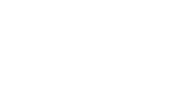 schweitzer-white
