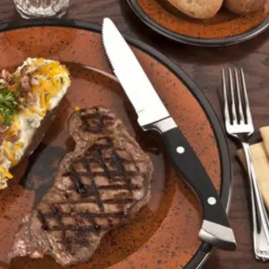 Steak Knife 10.5"